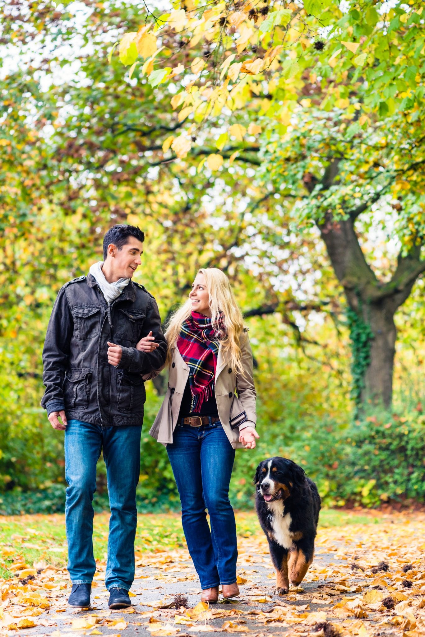 Woman and man with dog having autumn walk on a path covered with foliage